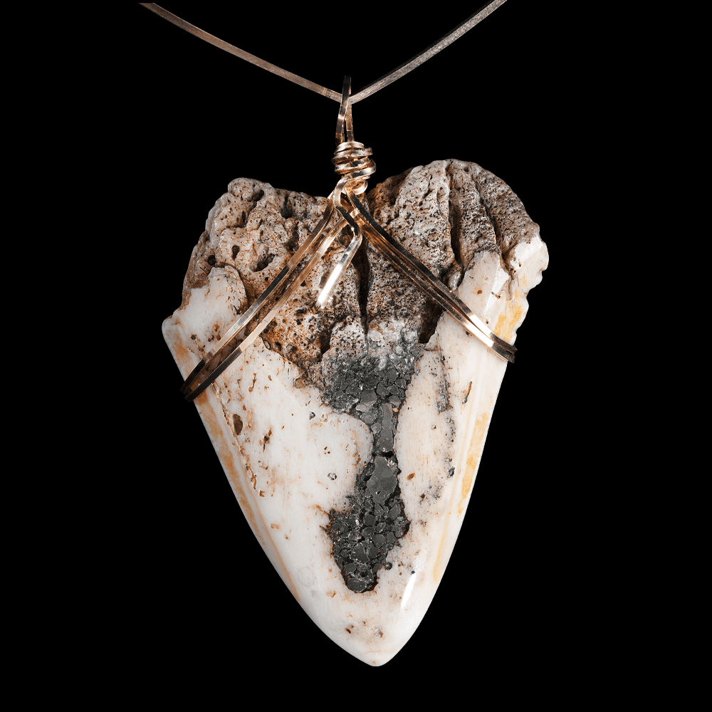 PHOTO: One of a kind megalodon tooth necklace featured at Jeweled Universe on Mission Street in South Pasadena.