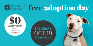 PHOTO: Pasadena Humane | The South Pasadenan | Pasadena Humane Hosts Free Adoption Day Oct. 18