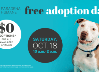 PHOTO: Pasadena Humane | The South Pasadenan | Pasadena Humane Hosts Free Adoption Day Oct. 18