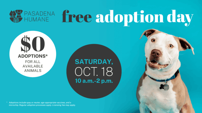 PHOTO: Pasadena Humane | The South Pasadenan | Pasadena Humane Hosts Free Adoption Day Oct. 18