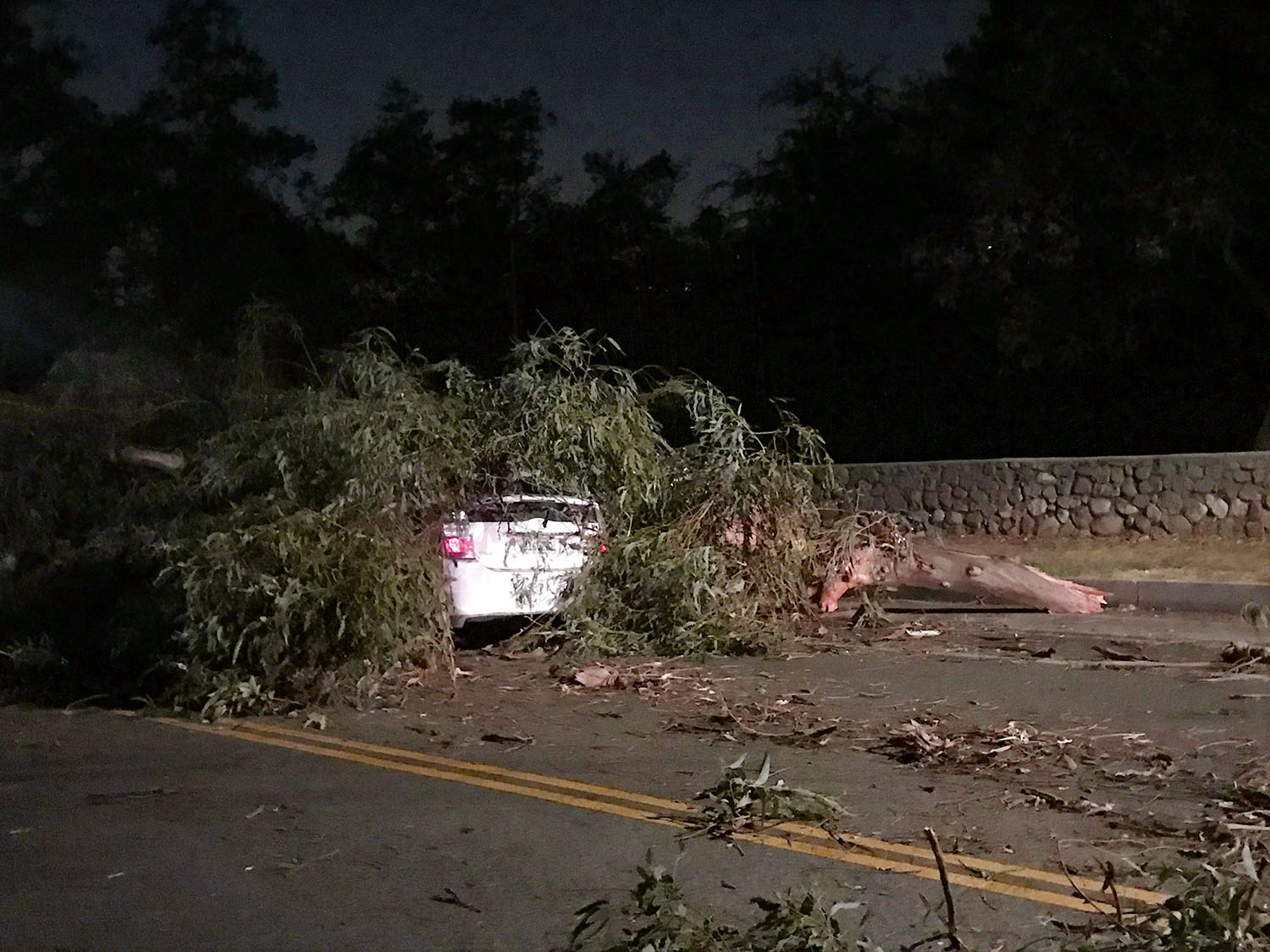 | The South Pasadenan | South Pasadena News
