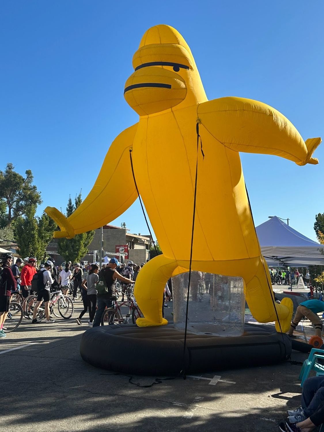 | The South Pasadenan | South Pasadena News PHOTO: Bill Glazier | The South Pasadenan | ArroyoFest 2023