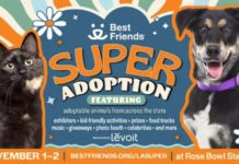 700+ Adoptable Dogs and Cats Head to Rose Bowl Stadium for Best Friends Super Adoption PHOTO: Best Friends | The South Pasadenan | Best Friends Super Adoption Returns to Los Angeles November 1–2