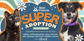 PHOTO: Best Friends | The South Pasadenan | Best Friends Super Adoption Returns to Los Angeles November 1–2
