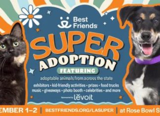PHOTO: Best Friends | The South Pasadenan | Best Friends Super Adoption Returns to Los Angeles November 1–2