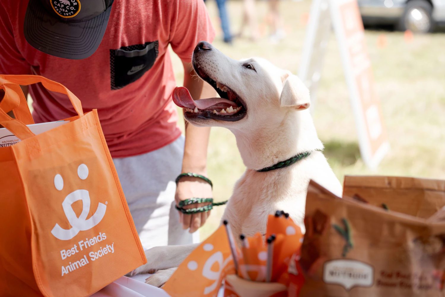 PHOTO: Best Friends | The South Pasadenan | Pets looking for loving homes