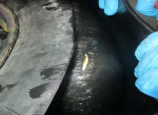 U.S. Customs and Border Protection officers arrested a Mexican citizen who is a U.S. lawful permanent resident on Oct. 22, 2025. Officers discovered a record-breaking nearly 290 pounds of heroin, with an estimated street value of more than $13 million, concealed within his vehicle as he attempted to enter the U.S. at the San Ysidro Port of Entry.