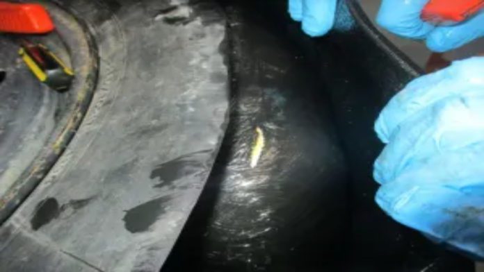U.S. Customs and Border Protection officers arrested a Mexican citizen who is a U.S. lawful permanent resident on Oct. 22, 2025. Officers discovered a record-breaking nearly 290 pounds of heroin, with an estimated street value of more than $13 million, concealed within his vehicle as he attempted to enter the U.S. at the San Ysidro Port of Entry.