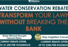 Save Water & Money: Earn Up to $1,200 with South Pasadena’s Turf Replacement Rebate PHOTO: City of South Pasadena | The South Pasadenan | Earn Up to $1,200 with South Pasadena’s Turf Replacement Rebate