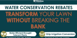 PHOTO: City of South Pasadena | The South Pasadenan | Earn Up to $1,200 with South Pasadena’s Turf Replacement Rebate