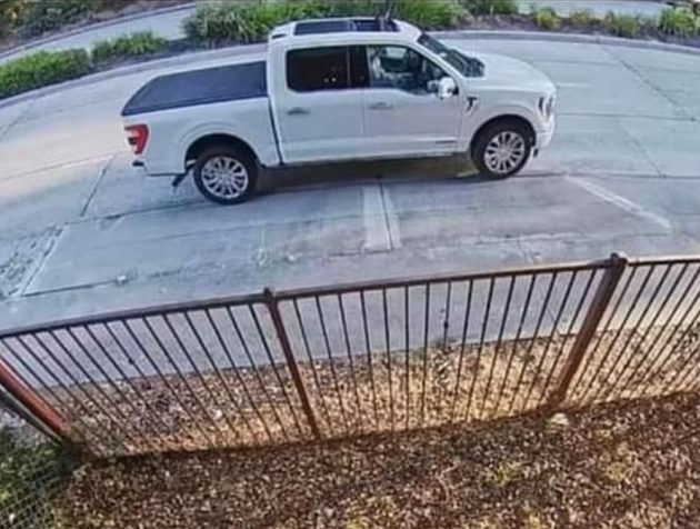 PHOTO: Cleo's Critter Care Wildlife Rescue and Rehabilitation | Reports of possible suspected perpetrator captured on porch-cams posted on social media accounts. Police have been notified.