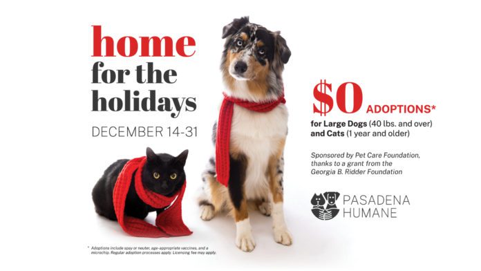 PHOTO: Pasadena Humane | The South Pasadenan | Pasadena Humane Waives Adoption Fees for Large Dogs & Adult Cats, Dec. 14–31