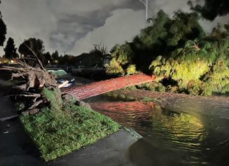 PHOTO: Janice Hahn @SupJaniceHahn LA County Supervisor, Fourth District. Chair of the LA Metro Board of Directors. | Pico Rivera tornado confirmed early morning Thursday March,13, 2025.