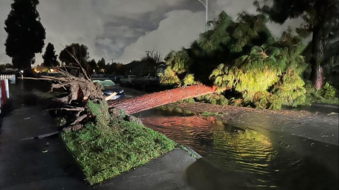 PHOTO: Janice Hahn @SupJaniceHahn LA County Supervisor, Fourth District. Chair of the LA Metro Board of Directors. | Pico Rivera tornado confirmed early morning Thursday March,13, 2025.