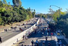 Protecting Pedestrians: California Urges Drivers to Stay Alert This September PHOTO: Steven Lawrence | South Pasadena News | Tree lined 110 Freeway through South Pasadena and Parts of bordering Los Angeles. Freeway was closed for a city-wide event, pedestrians and cyclists were allowed to travel without motor vehicles.
