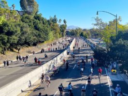Protecting Pedestrians: California Urges Drivers to Stay Alert This September PHOTO: Steven Lawrence | South Pasadena News | Tree lined 110 Freeway through South Pasadena and Parts of bordering Los Angeles. Freeway was closed for a city-wide event, pedestrians and cyclists were allowed to travel without motor vehicles.