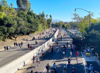 PHOTO: Steven Lawrence | South Pasadena News | Tree lined 110 Freeway through South Pasadena and Parts of bordering Los Angeles. Freeway was closed for a city-wide event, pedestrians and cyclists were allowed to travel without motor vehicles.