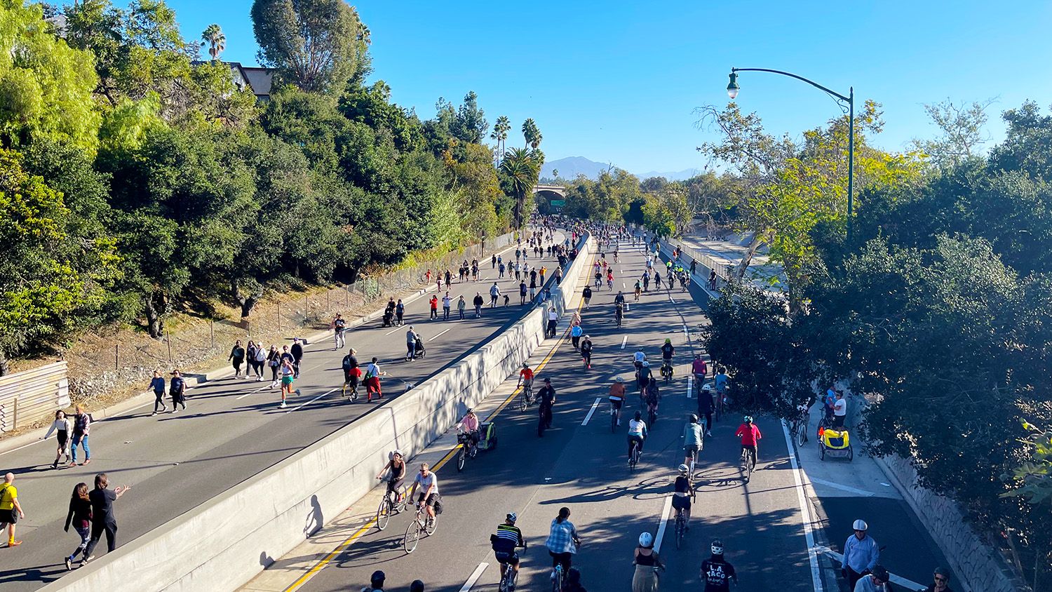 | The South Pasadenan | South Pasadena News PHOTO: Steven Lawrence | South Pasadena News | Tree lined 110 Freeway through South Pasadena and Parts of bordering Los Angeles. Freeway was closed for a city-wide event, pedestrians and cyclists were allowed to travel without motor vehicles.
