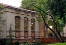 Craft Supply Swap Coming Up | South Pasadena Public Library to Host Popular Event PHOTO: Steven Lawrence | South Pasadena News | Library Community Room on El Centro | Trees in South Pasadena are protected - to an extent. 'Tree City USA' in the middle of Los Angeles Metropolis.