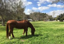 Weather Forecast South Pasadena | Sunny & Warm Weekend Ahead, Rain to Return