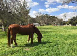Weather South Pasadena: Breezy Midweek, Warmer Days Ahead
