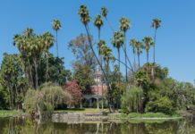 New CEO Appointed | LA County Arboretum & Botanic Garden Welcomes Su Oh CEO Los Angeles County Arboretum and Botanical Garden.