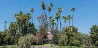 CEO Los Angeles County Arboretum and Botanical Garden.