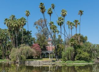 New CEO Appointed | LA County Arboretum & Botanic Garden Welcomes Su Oh CEO Los Angeles County Arboretum and Botanical Garden.