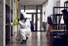 Why Regular Pest Inspections Are Vital for a Healthy Office Environment hawx pest control San Bernardino office pest control fumigation service