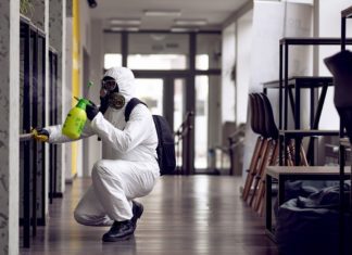 Why Regular Pest Inspections Are Vital for a Healthy Office Environment hawx pest control San Bernardino office pest control fumigation service