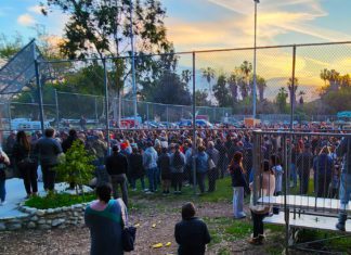 Candlelight Memorial for Trent Tozer | South Pasadena Families Come Together Trent Tozer, 13-year-old Little League player and South Pasadena Middle School student, who was tragically struck and killed by a Metro Gold Line Train