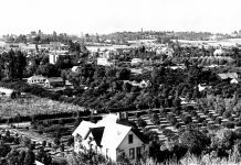 Throwback Thursday | Heritage Lost: South Pasadena’s Orange Tree City Seal and Orange Blossom City Flower