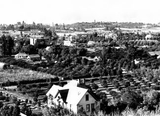 Throwback Thursday | Heritage Lost: South Pasadena’s Orange Tree City Seal and Orange Blossom City Flower