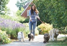 Dog-Walking 101 | Here’s the Scoop on Poop