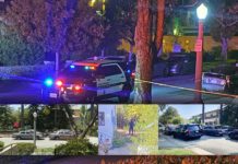 BREAKING: Stabbing Arrest | Man Suspected of Fatal Stabbing in South Pasadena Arrested Updated: South Pasadena elderly woman found stabbed to Death on Brent. Woman murdered.