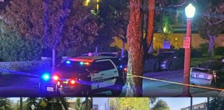 Updated: South Pasadena elderly woman found stabbed to Death on Brent. Woman murdered.