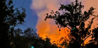 UPDATED: Large Fire Near Marmion Way & 110 Freeway Exit | Arroyo Park Adjacent