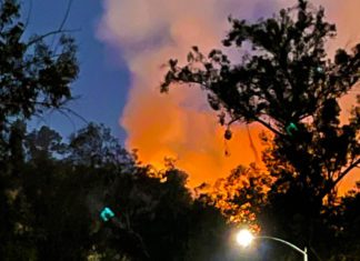 UPDATED: Large Fire Near Marmion Way & 110 Freeway Exit | Arroyo Park Adjacent