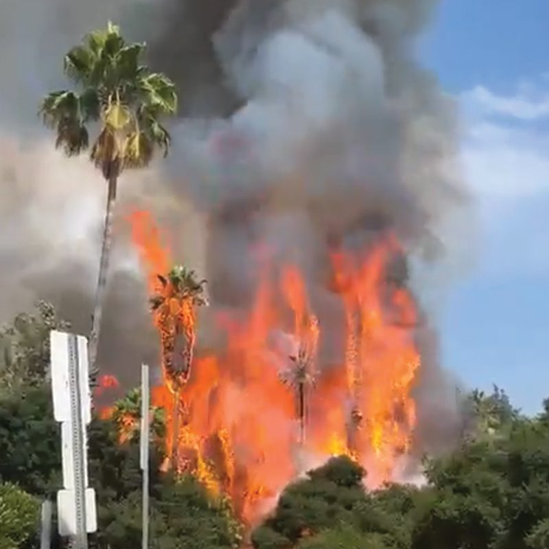 | The South Pasadenan | South Pasadena News PHOTO: Fire at Arroyo Park South Pasadena 7-22-2023 | Social Media Screenshot