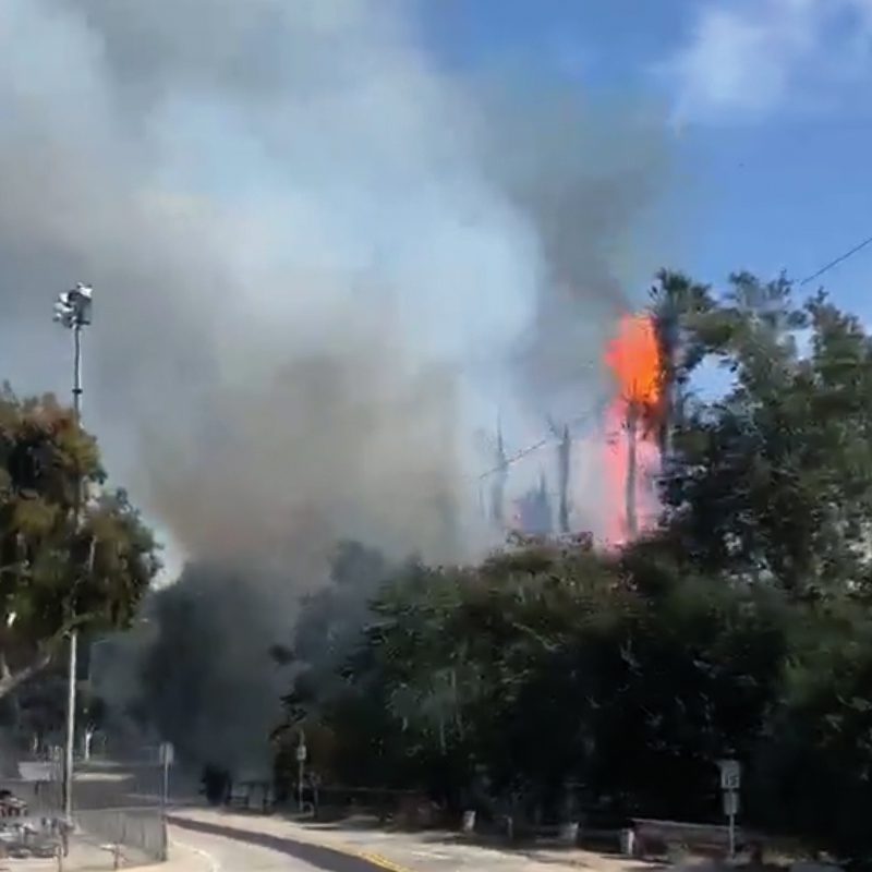 PHOTO: Fire at Arroyo Park South Pasadena 7-22-2023 | Social Media Screenshot