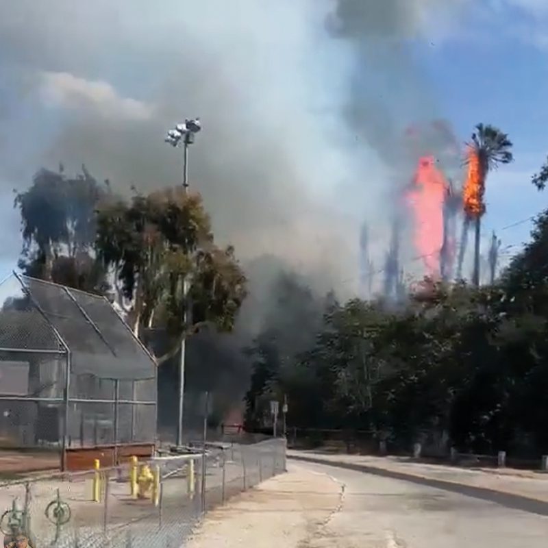 PHOTO: Fire at Arroyo Park South Pasadena 7-22-2023 | Social Media Screenshot