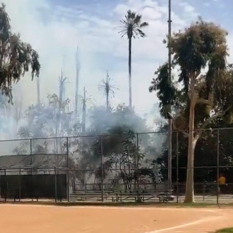 PHOTO: Fire at Arroyo Park South Pasadena 7-22-2023 | Social Media Screenshot