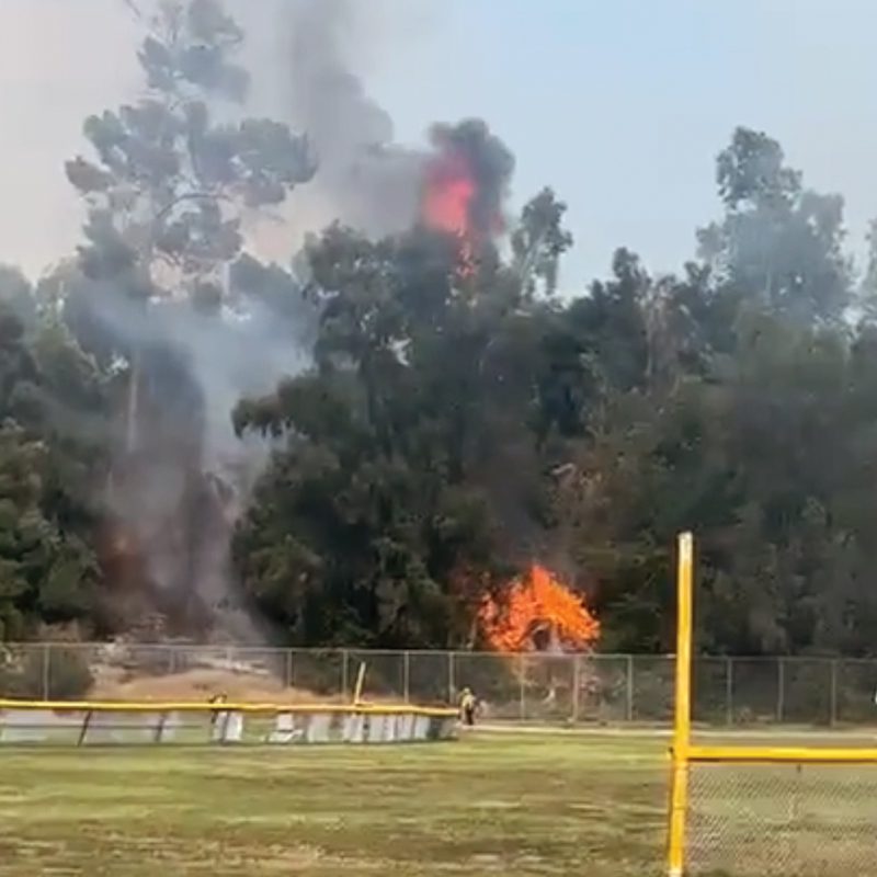PHOTO: Fire at Arroyo Park South Pasadena 7-22-2023 | Social Media Screenshot