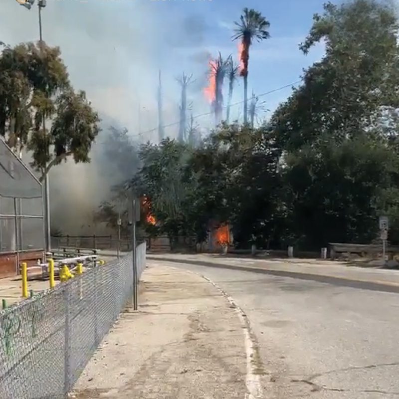 PHOTO: Fire at Arroyo Park South Pasadena 7-22-2023 | Social Media Screenshot