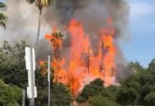 PHOTO: Fire at Arroyo Park South Pasadena 7-22-2023 | Social Media Screenshot