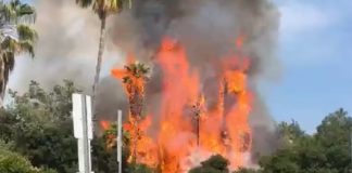 FIRE IN THE ARROYO South Pasadena | Large Brush Fires Next to Baseball/Soccer Fields PHOTO: Fire at Arroyo Park South Pasadena 7-22-2023 | Social Media Screenshot