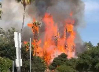PHOTO: Fire at Arroyo Park South Pasadena 7-22-2023 | Social Media Screenshot