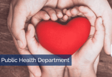 Rabies Alert | Dead Bat Found, Tested Positive For Rabies – Pasadena Public Health News Release