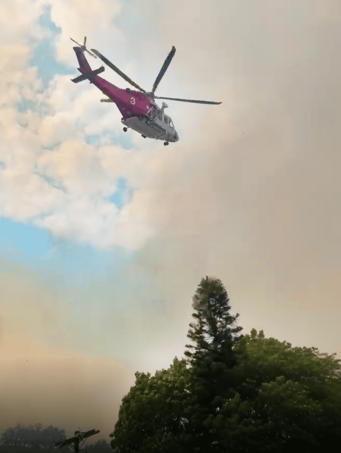 | The South Pasadenan | South Pasadena News PHOTO: Social Media Post | Debs Park Fire Saturday August 14 2021