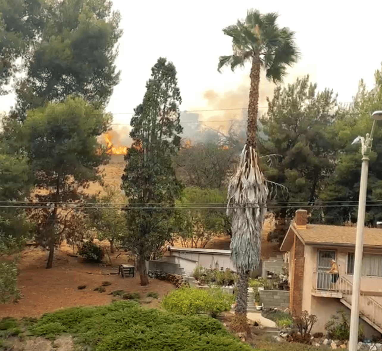 | The South Pasadenan | South Pasadena News PHOTO: Social Media Post | Debs Park Fire Saturday August 14 2021